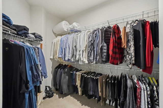 spacious closet featuring carpet