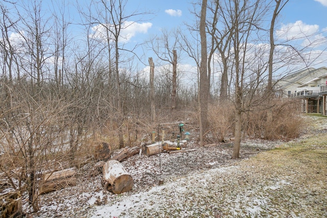 view of yard covered in snow