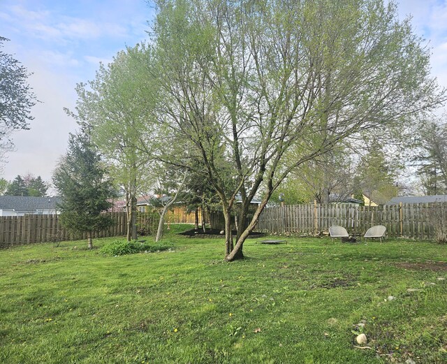 103 E Maple St, Three Oaks, MI 49128 - view of yard featuring a fenced backyard
