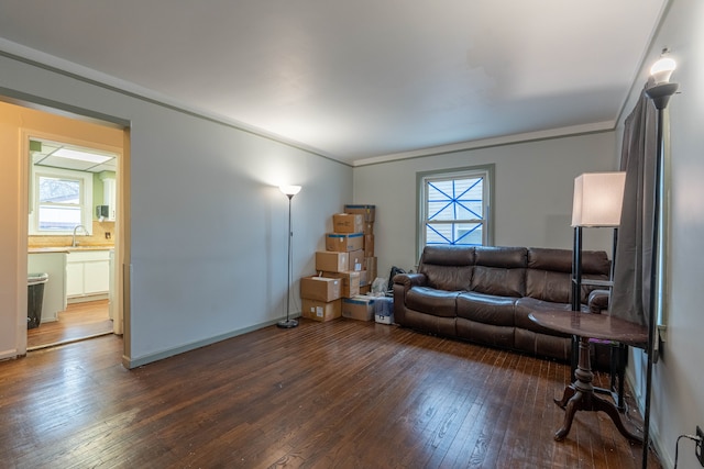 living room featuring sink, dark hardwood / wood-style flooring, and ornamental molding