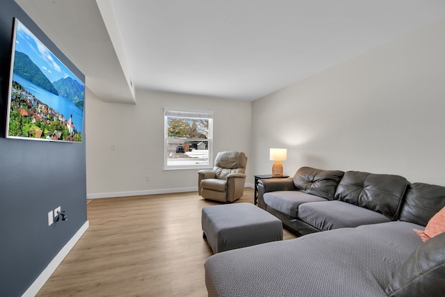 living room with light hardwood / wood-style flooring