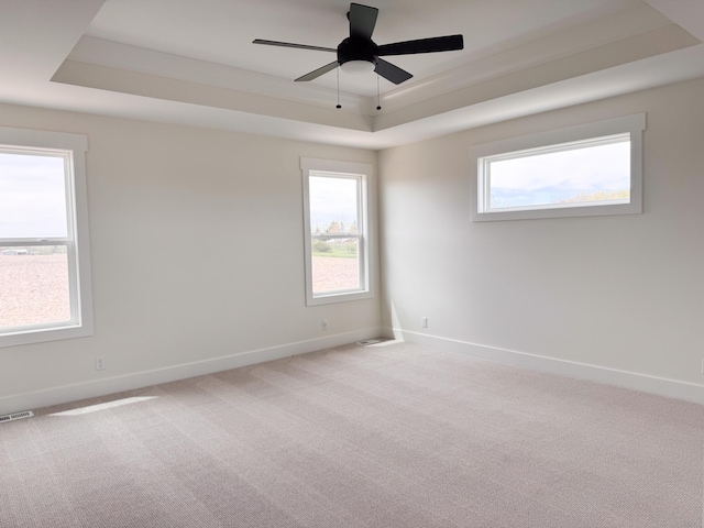 empty room featuring baseboards, carpet flooring, plenty of natural light, and a tray ceiling