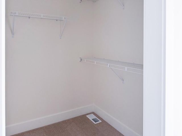 spacious closet with carpet floors and visible vents