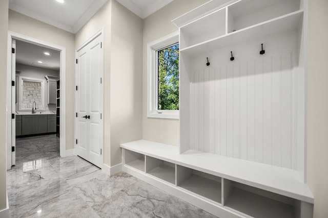 mudroom with sink and ornamental molding