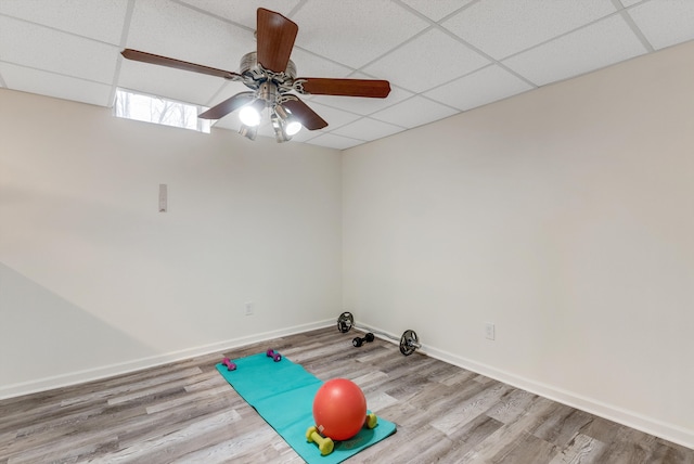 workout area with ceiling fan, light hardwood / wood-style floors, and a paneled ceiling