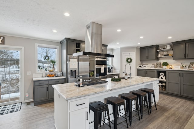 kitchen featuring light wood-type flooring, an island with sink, appliances with stainless steel finishes, a kitchen bar, and island exhaust hood