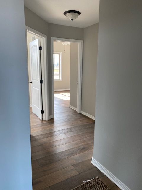 hall featuring dark wood-type flooring