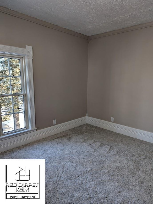 unfurnished room featuring carpet floors, a textured ceiling, and ornamental molding