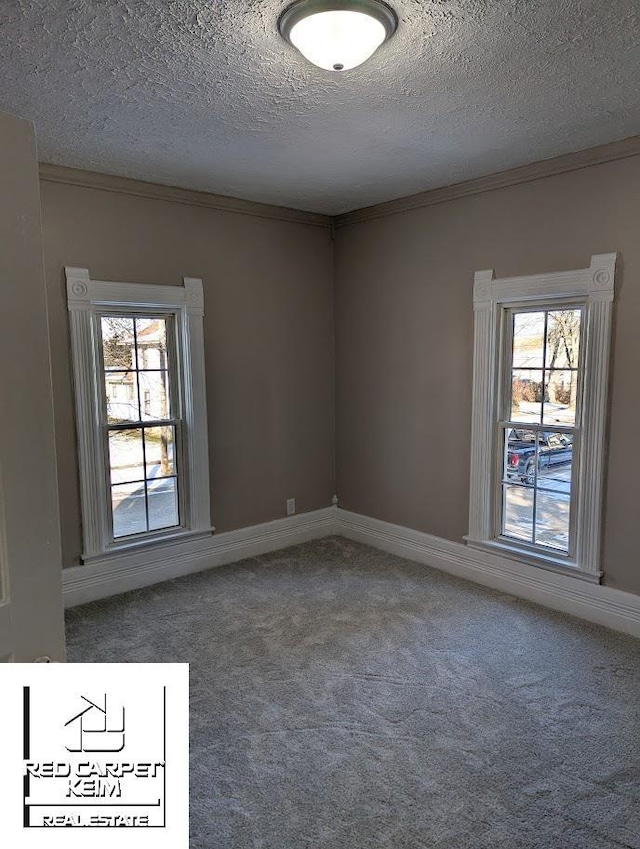 empty room featuring crown molding, carpet floors, and a textured ceiling