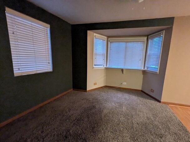 spare room with carpet floors