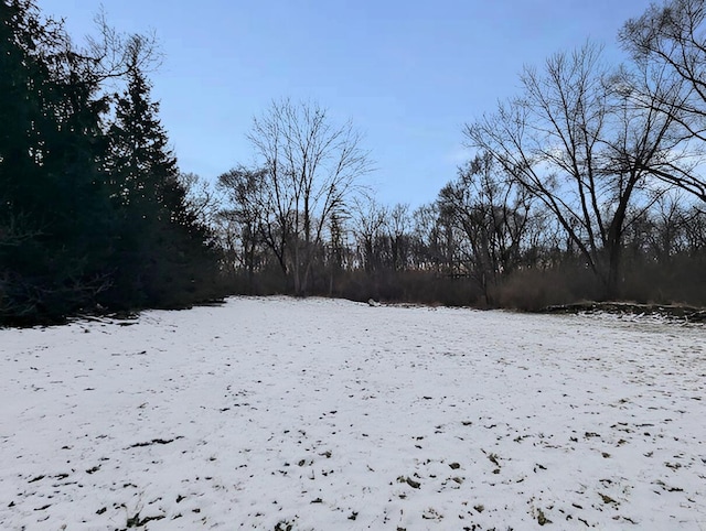 view of yard layered in snow