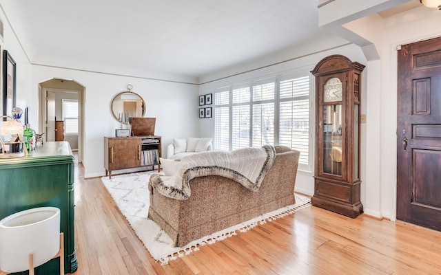 living room with light hardwood / wood-style flooring