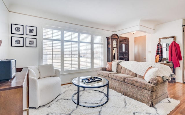 living room with a wealth of natural light and hardwood / wood-style floors