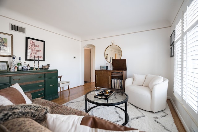 living room featuring hardwood / wood-style floors