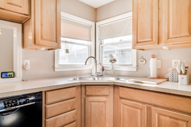 kitchen featuring dishwasher, light brown cabinetry, and sink