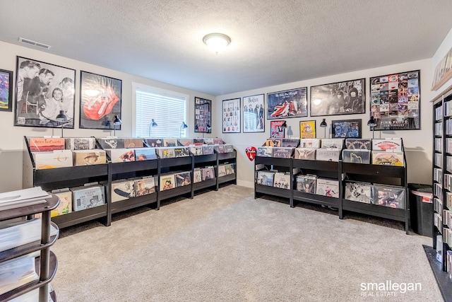 bedroom with carpet flooring and a textured ceiling