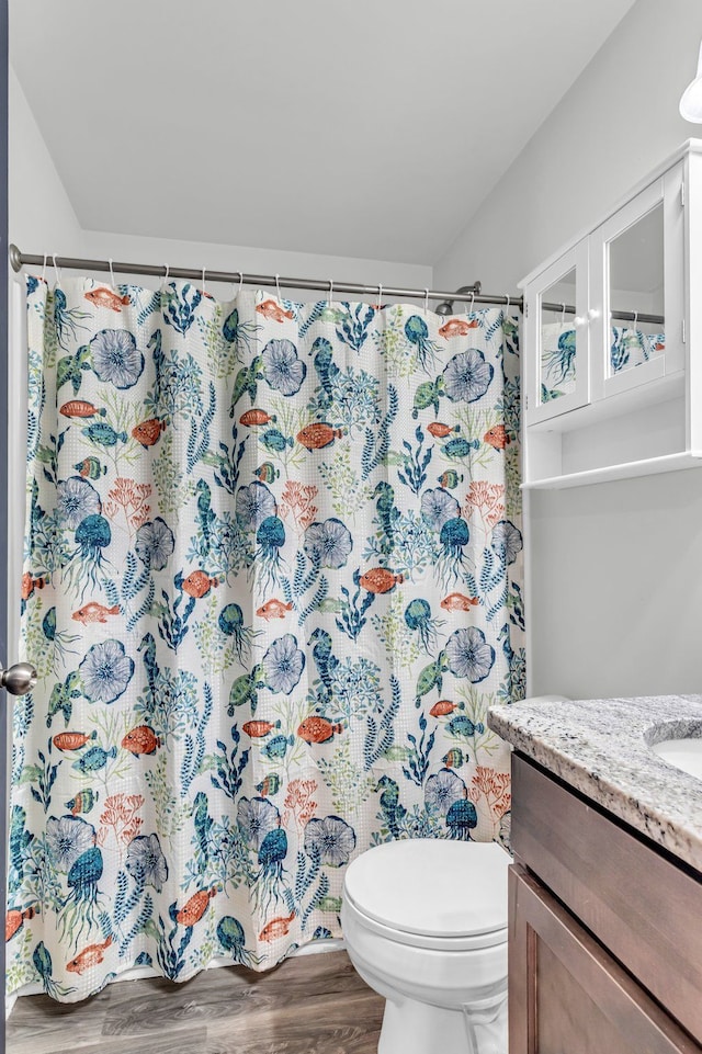 bathroom with toilet, a shower with shower curtain, wood-type flooring, and vanity