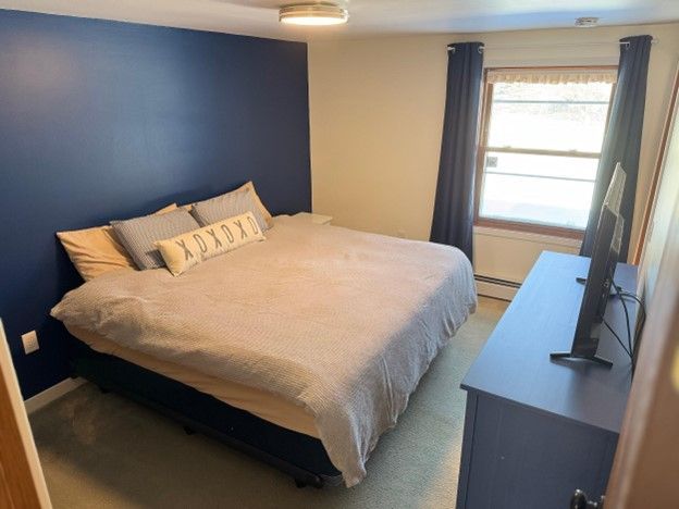 bedroom with light carpet and a baseboard heating unit