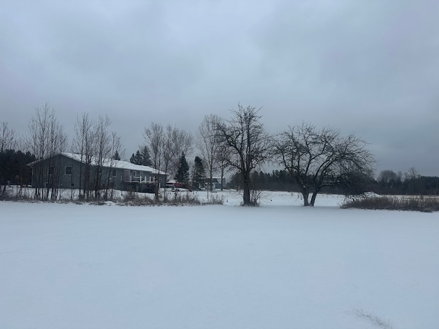 view of yard layered in snow