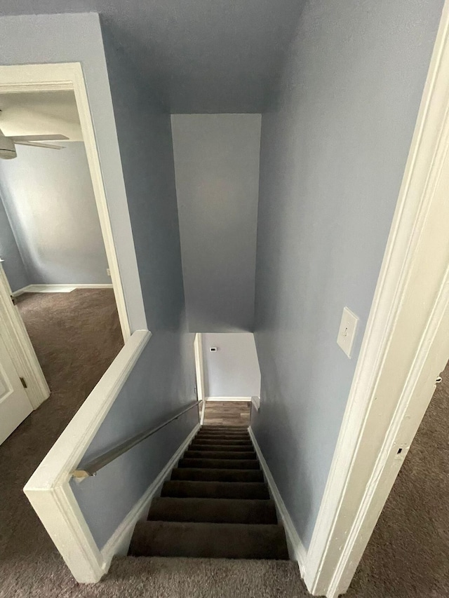 stairs with carpet