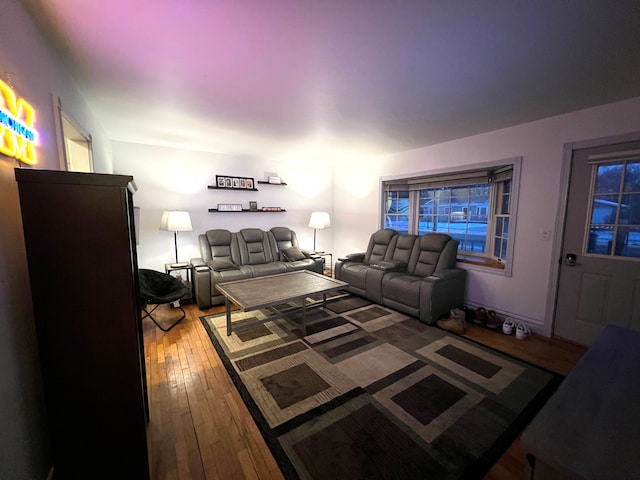 living room featuring hardwood / wood-style floors