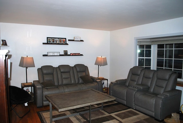 living room featuring dark hardwood / wood-style flooring