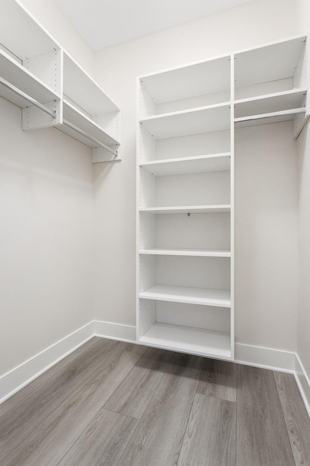 spacious closet with hardwood / wood-style floors