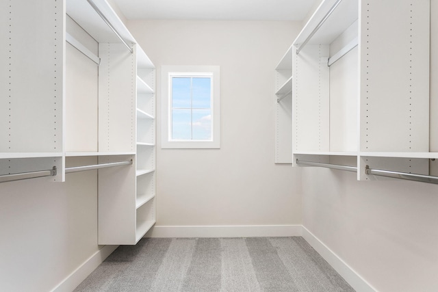 walk in closet featuring carpet floors