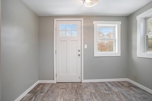 foyer featuring a healthy amount of sunlight and dark wood-type flooring