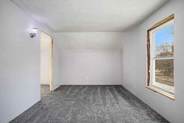 additional living space with a healthy amount of sunlight, a textured ceiling, and lofted ceiling