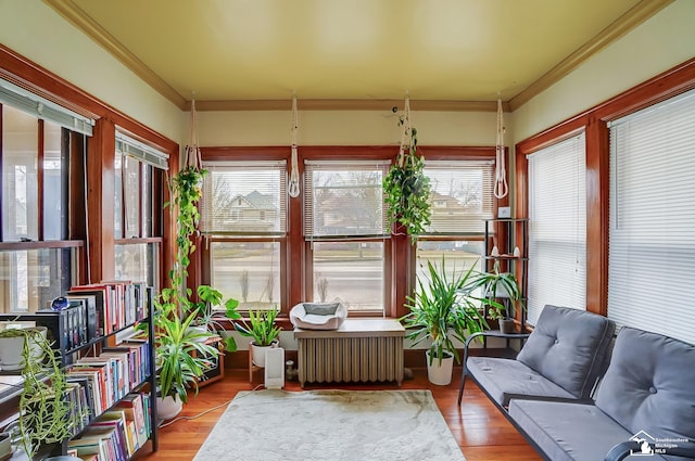 sunroom with radiator heating unit