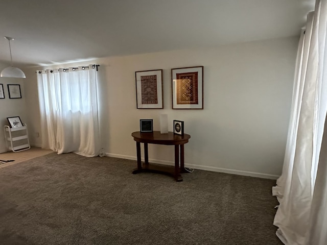 interior space with dark colored carpet