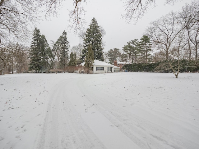 view of yard covered in snow