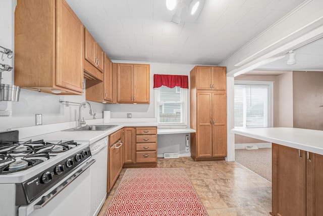 kitchen featuring white appliances, sink, and a wealth of natural light