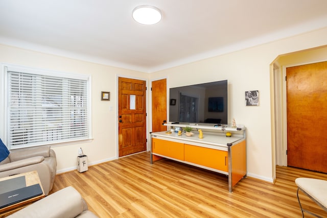 living room with light hardwood / wood-style floors