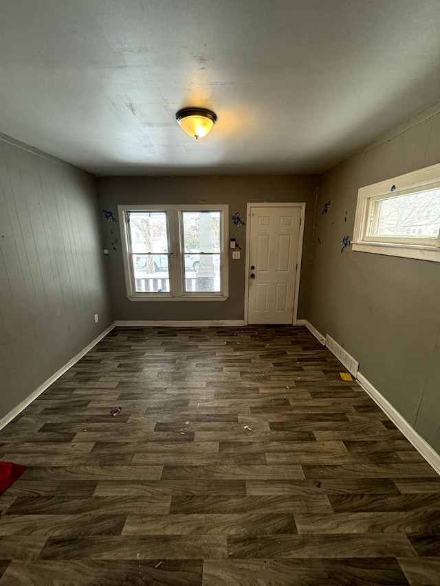 foyer featuring dark hardwood / wood-style flooring and plenty of natural light