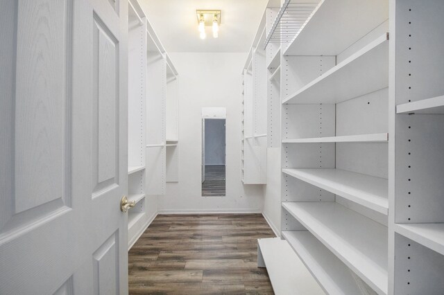 spacious closet with dark hardwood / wood-style flooring