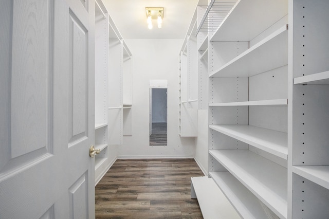 walk in closet featuring wood finished floors