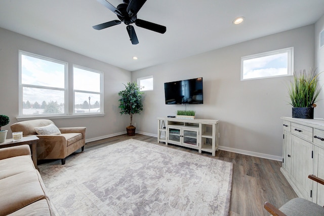 living room featuring wood-type flooring, plenty of natural light, and ceiling fan