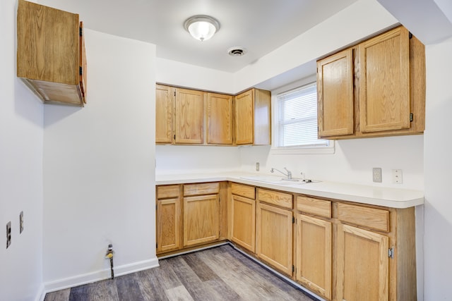 kitchen with dark hardwood / wood-style floors and sink