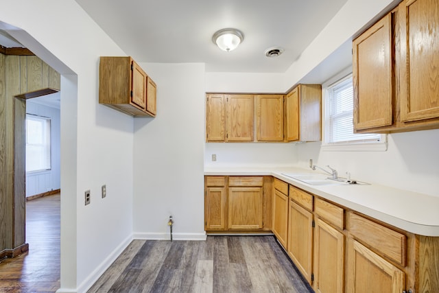 kitchen featuring dark hardwood / wood-style floors, plenty of natural light, and sink