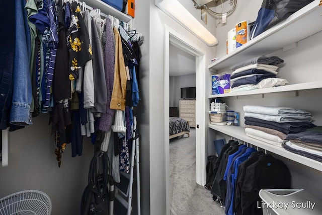 spacious closet with carpet floors