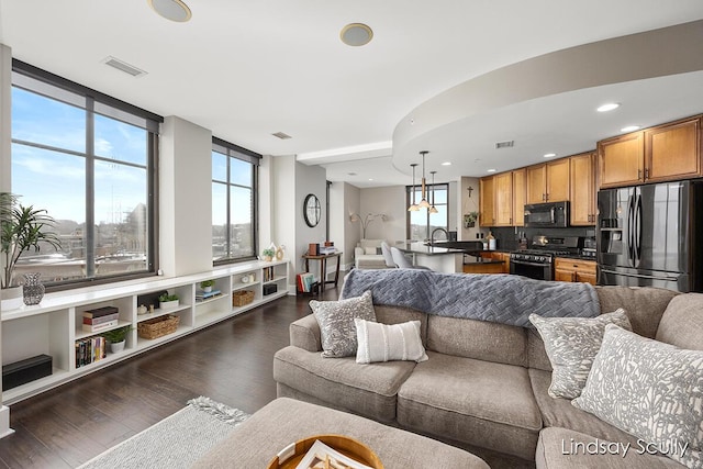 living room with dark hardwood / wood-style floors and sink