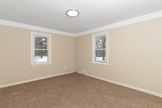 empty room featuring carpet