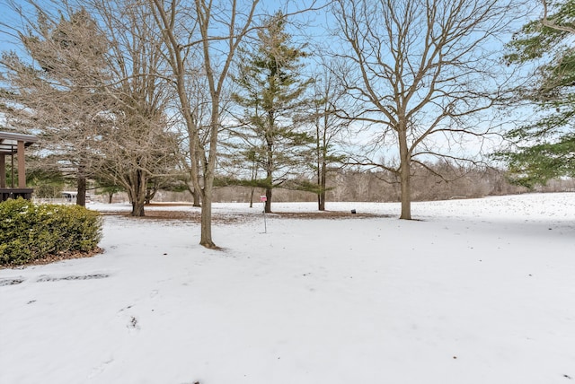 view of yard covered in snow