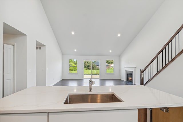 kitchen with high vaulted ceiling, light stone counters, sink, and a kitchen island with sink