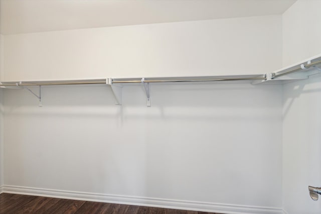 spacious closet featuring dark hardwood / wood-style flooring