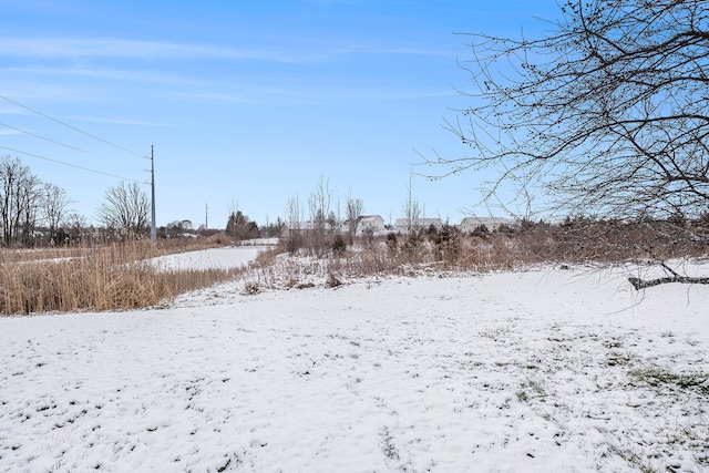 view of yard covered in snow