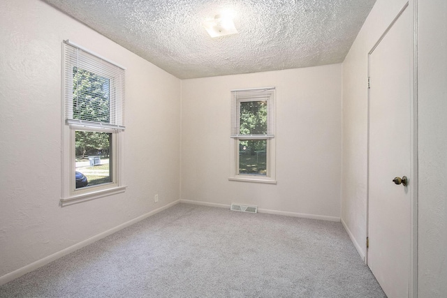 carpeted empty room with a wealth of natural light and a textured ceiling