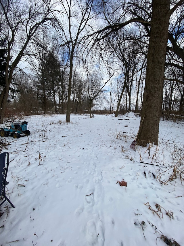 view of yard layered in snow